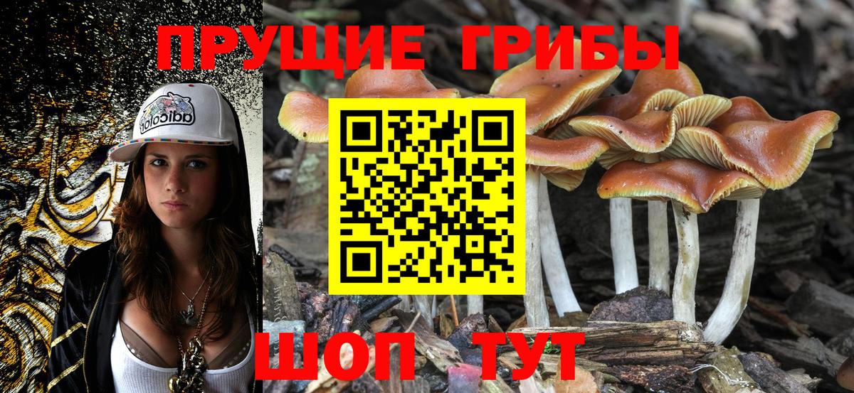 Мурино  Псилоцибиновые грибы Magic Shrooms  как найти   Вход с VPN 